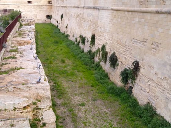 Gianmaria Greco: "Avvilente assistere allo stato di abbandono delle mura urbiche" - Corriere Salentino