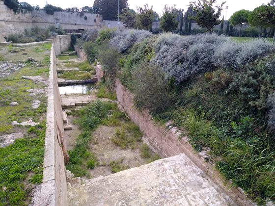 Gianmaria Greco: "Avvilente assistere allo stato di abbandono delle mura urbiche" - Corriere Salentino