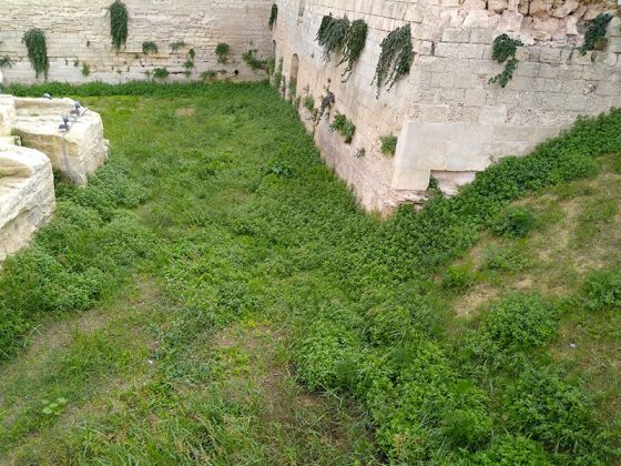 Gianmaria Greco: "Avvilente assistere allo stato di abbandono delle mura urbiche" - Corriere Salentino