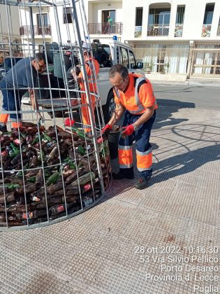 "Natale Creativo" a Porto Cesareo, i percettori di reddito di cittadinanza realizzano un albero di Natale con le bottiglie recuperate per strada - Corriere Salentino