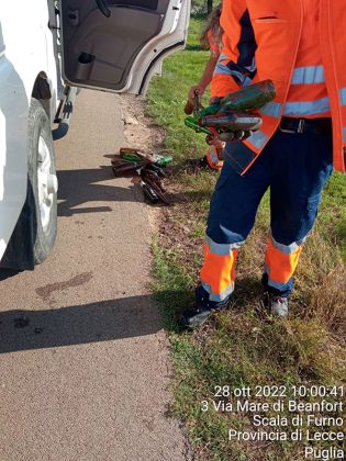 "Natale Creativo" a Porto Cesareo, i percettori di reddito di cittadinanza realizzano un albero di Natale con le bottiglie recuperate per strada - Corriere Salentino