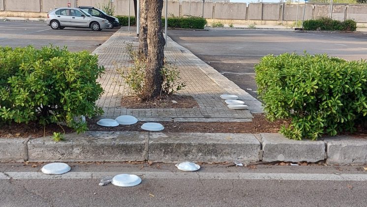 Gatti vaganti: cibo non conforme e piattini sulle strade, arriva l’ordinanza - Corriere Salentino