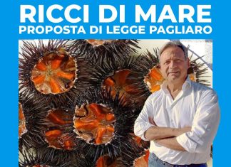 Ricci di mare. Proposta di legge Pagliaro: “Quasi estinti, stop di tre anni alla pesca per consentire il ripopolamento della specie”