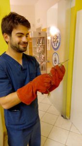 Tarabuso, uccello raro, trovato ferito in cortile a Lecce, l’Enpa lo recupera e lo porta in clinica - Corriere Salentino