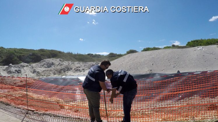 Abbandono incontrollato e gestione illecita di rifiuti: sequestro di un'area da 2mila metri quadri. Due denunce - Corriere Salentino