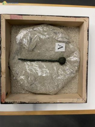 Restaurati i monili di una delle tombe scoperte nella necropoli di Torre Guaceto: ora torneranno in riserva - Corriere Salentino