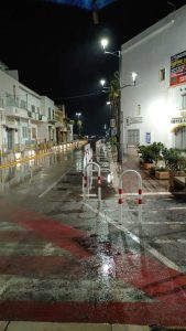 Porto Cesareo, travolto e ucciso sulle strisce pedonali un germano reale bianco tra le urla dei presenti. “L’auto è andata via senza fermarsi” - Corriere Salentino