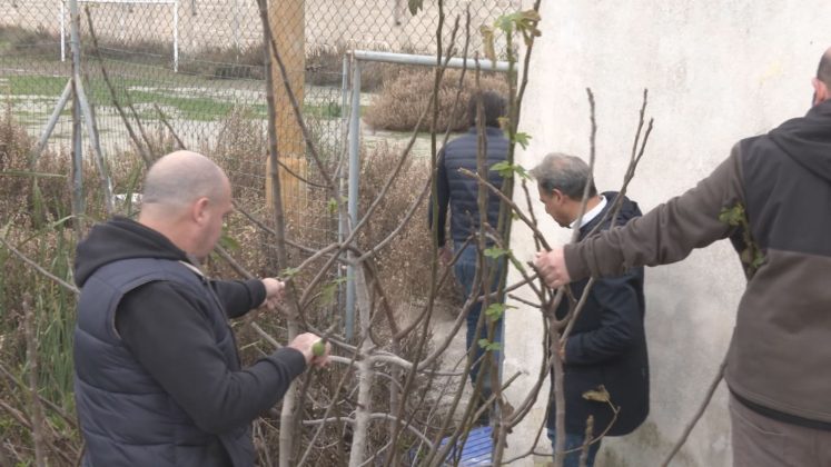 Campo sportivo di Frigole, MRS: “Incuria e degrado, cartina di tornasole dell’incapacità dell’amministrazione comunale di Lecce” - Corriere Salentino