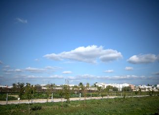 Leverano: donati 1100 alberi, uno per ogni alunno delle scuole primarie e secondarie