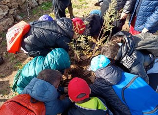 Giornata nazionale degli alberi, 30 tamerici al Frascone