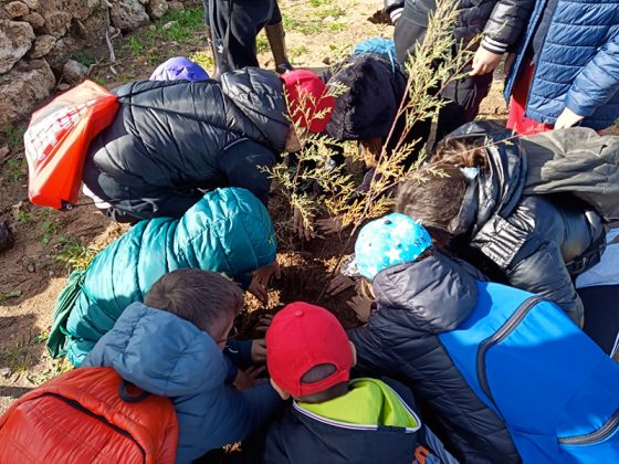 Giornata nazionale degli alberi, 30 tamerici al Frascone - Corriere Salentino