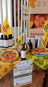 Giornata Mondiale dell'Ulivo, crollo della produzione pugliese dell'olio extravergine - Corriere Salentino