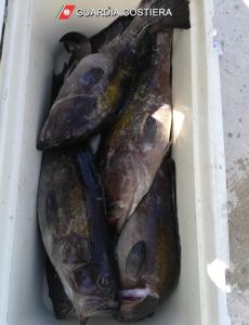Controlli contro la pesca di frodo: multe per due diportisti - Corriere Salentino