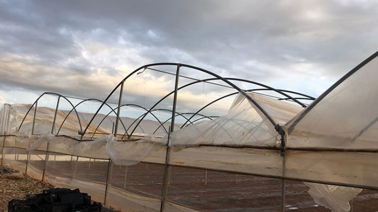 Maltempo: Coldiretti Puglia, Salento come Oklahoma la Tornado Alley d'Italia - Corriere Salentino