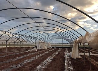 Maltempo: Coldiretti Puglia, Salento come Oklahoma la Tornado Alley d’Italia