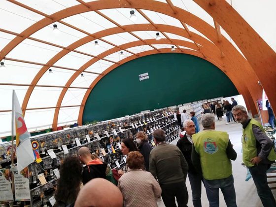 Novoli, oltre 2000 visitatori per la Mostra ornitologica internazionale dei "Tre Mari" - Corriere Salentino