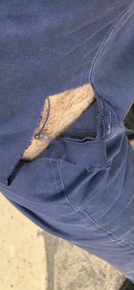 Il pitbull di un senzatetto aggredisce passante, Guido: "La colpa non è loro, ma di chi non bada a loro" - Corriere Salentino