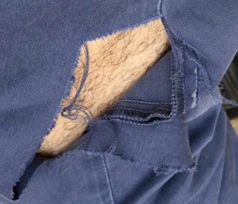 Il pitbull di un senzatetto aggredisce passante, Guido: "La colpa non è loro, ma di chi non bada a loro" - Corriere Salentino