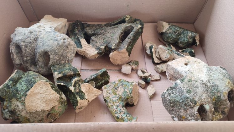 Presicce, il santo perde l’aureola nel giorno della sua festa - Corriere Salentino