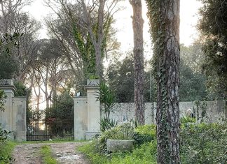 Incontriamoci al bosco di Anna. Ultimo appuntamento mercoledì 7 dicembre