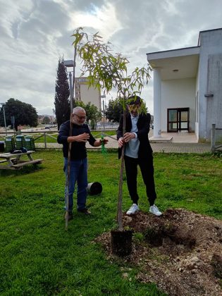 Giornata nazionale dell’albero, tutti gli appuntamenti a Lecce - Corriere Salentino