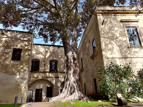 Censimento collettivo degli alberi monumentali - Corriere Salentino