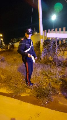 Raid incendiario nell’azienda di raccolta rifiuti, alle fiamme 5 autocompattatori - Corriere Salentino