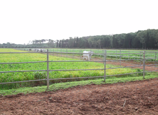 Rincari energia, impatto devastante sulla filiera “dal campo alla tavola”, ma c’è un modo per attutirlo