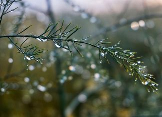 Maltempo, la pioggia può salvare da siccità ma eventi estremi minacciano l’89% dei comuni