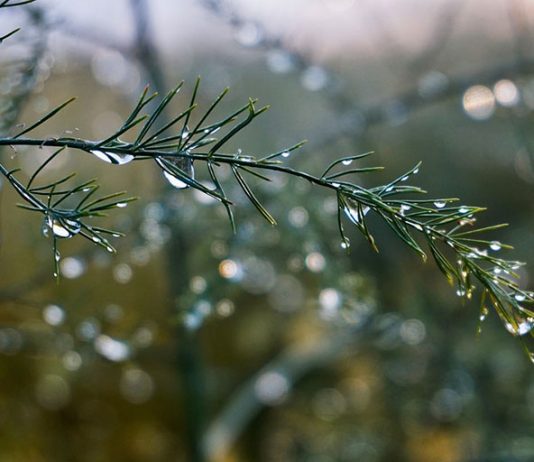 Più acqua del 2025 ma non basta. Servono invasi, reti e costi sostenibili