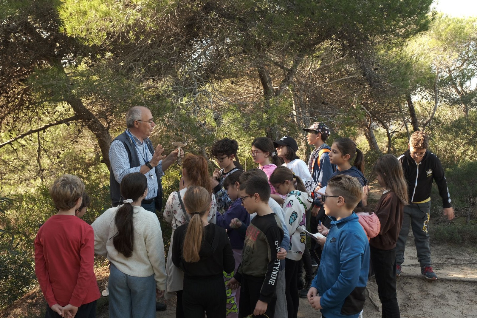 Ritorna L iniziativa Scuola In Bosco Corriere Salentino Lecce Ritorna L iniziativa Scuola In Bosco Corriere Salentino Lecce