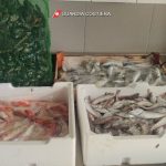 Moto d'acqua e pesca sportiva in area protetta, pesce non tracciato nelle attività: scattano sequestri e multe - Corriere Salentino