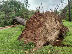 Maltempo nel Salento, il sopralluogo di Marti (Lega): “Troveremo insieme le risorse che servono” - Corriere Salentino