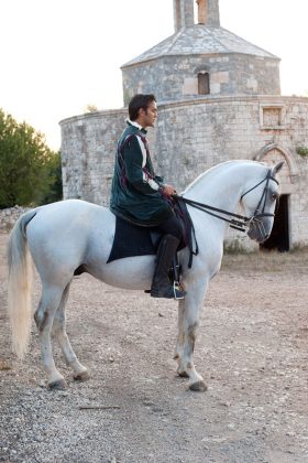 Unesco: Coldiretti Puglia, cavalli lipizzani patrimonio umanità - Corriere Salentino