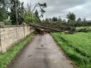 Maltempo nel Salento, il sopralluogo di Marti (Lega): “Troveremo insieme le risorse che servono” - Corriere Salentino