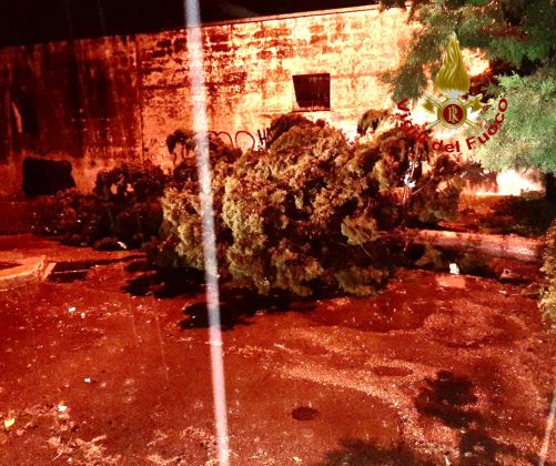 Intensi temporali e vento forte: danni in tutto il Salento. Salta la copertura di una Rsa - Corriere Salentino