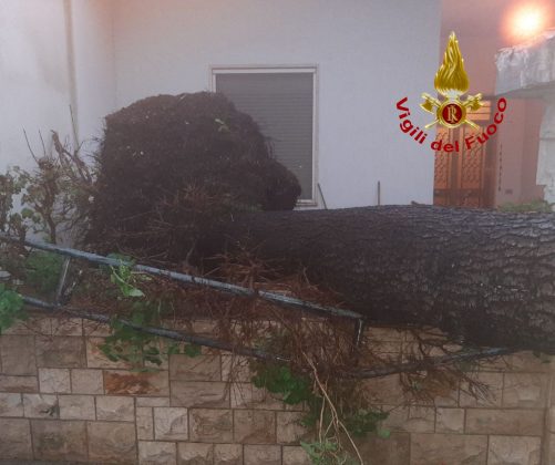 Intensi temporali e vento forte: danni in tutto il Salento. Salta la copertura di una Rsa - Corriere Salentino