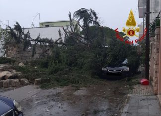 Intensi temporali e vento forte: danni in tutto il Salento. Salta la copertura di una Rsa