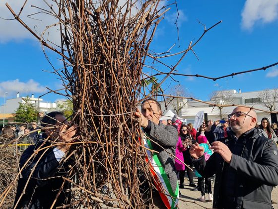 La benedizione e la posa della "prima" fascina a Novoli avvia il conto alla rovescia verso la Focara 2023 - Corriere Salentino