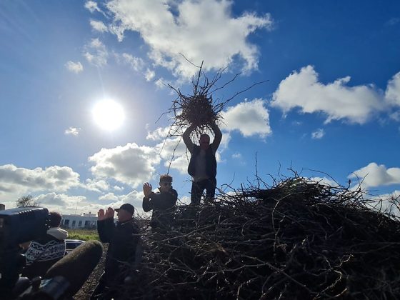 La benedizione e la posa della "prima" fascina a Novoli avvia il conto alla rovescia verso la Focara 2023 - Corriere Salentino