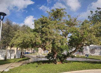 Riapre parco Corvaglia: sport, fitness, giochi a servizio del quartiere