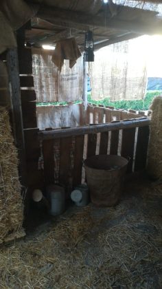 A Copertino domani inaugurazione del Presepe vivente nel Quartiere Spallanzani - Corriere Salentino