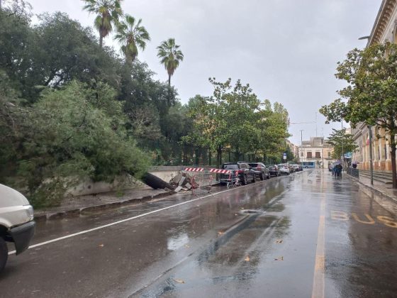 Intensi temporali e vento forte: danni in tutto il Salento. Salta la copertura di una Rsa - Corriere Salentino