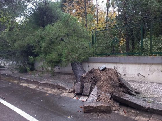 Intensi temporali e vento forte: danni in tutto il Salento. Salta la copertura di una Rsa - Corriere Salentino