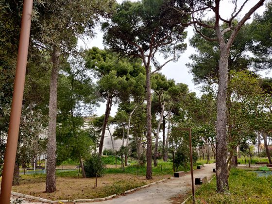 Censimento del verde: la giunta approva il contratto di ricerca con Unisalento - Corriere Salentino