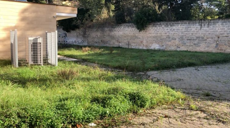 Ludoteca comunale di via Sozy Carafa, Capoccia: "Ennesima inaugurazione farsa" - Corriere Salentino