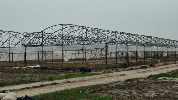 Intensi temporali e vento forte: danni in tutto il Salento. Salta la copertura di una Rsa - Corriere Salentino