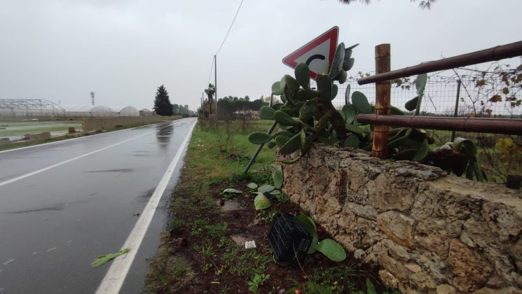 Intensi temporali e vento forte: danni in tutto il Salento. Salta la copertura di una Rsa - Corriere Salentino