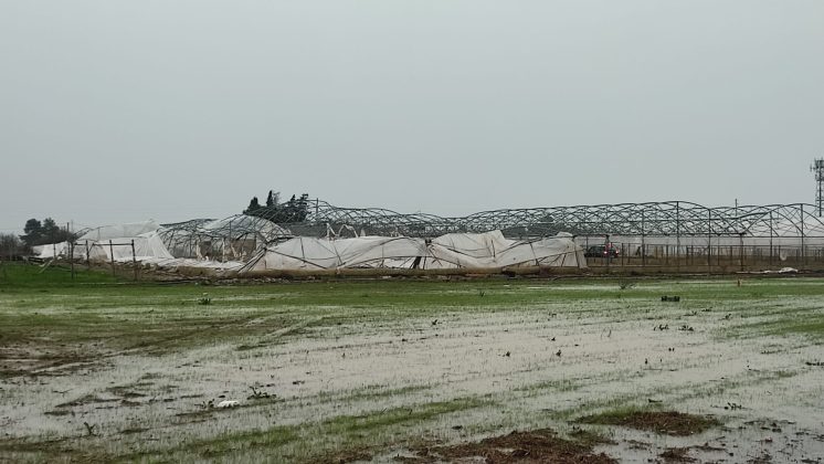 Intensi temporali e vento forte: danni in tutto il Salento. Salta la copertura di una Rsa - Corriere Salentino