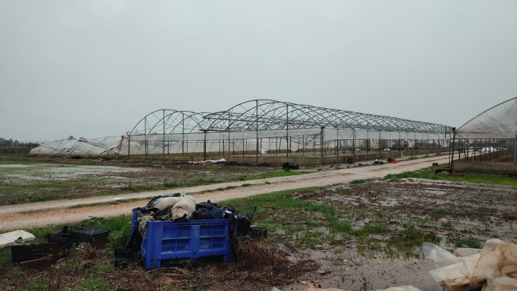 Intensi temporali e vento forte: danni in tutto il Salento. Salta la copertura di una Rsa - Corriere Salentino